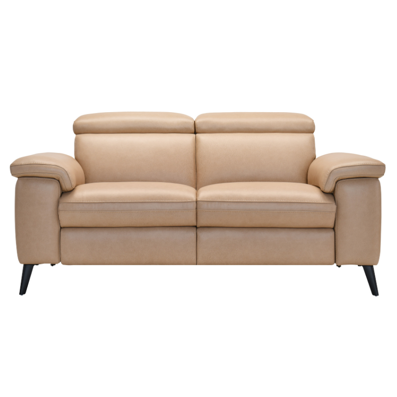 Steve Motion leather Loveseat