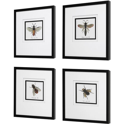 Anthophila Framed Prints, Set of 4